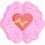 Brain